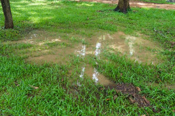 Cost of Storm Water Drainage Service in Fenton