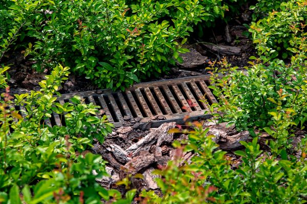Cost of Underground Drainage Service in Fenton