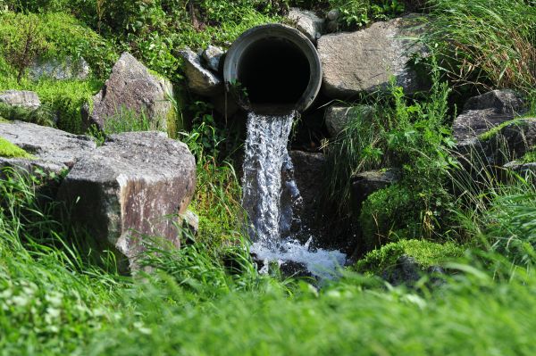 Cost of Water Redirection in Fenton