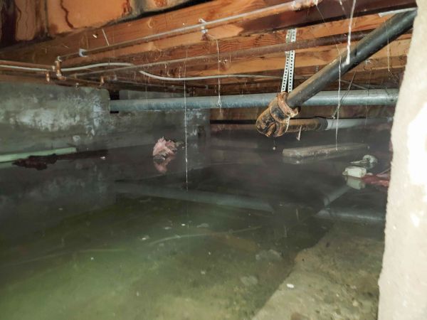 Cost of Crawlspace Drainage in Fenton