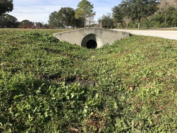 Cost of Swale Drainage Service in Fenton