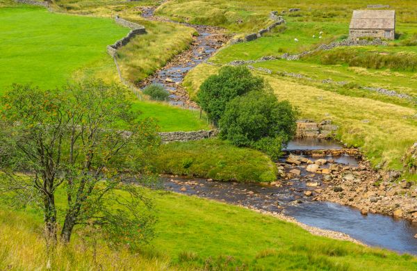 Cost of Swale Repair in Fenton